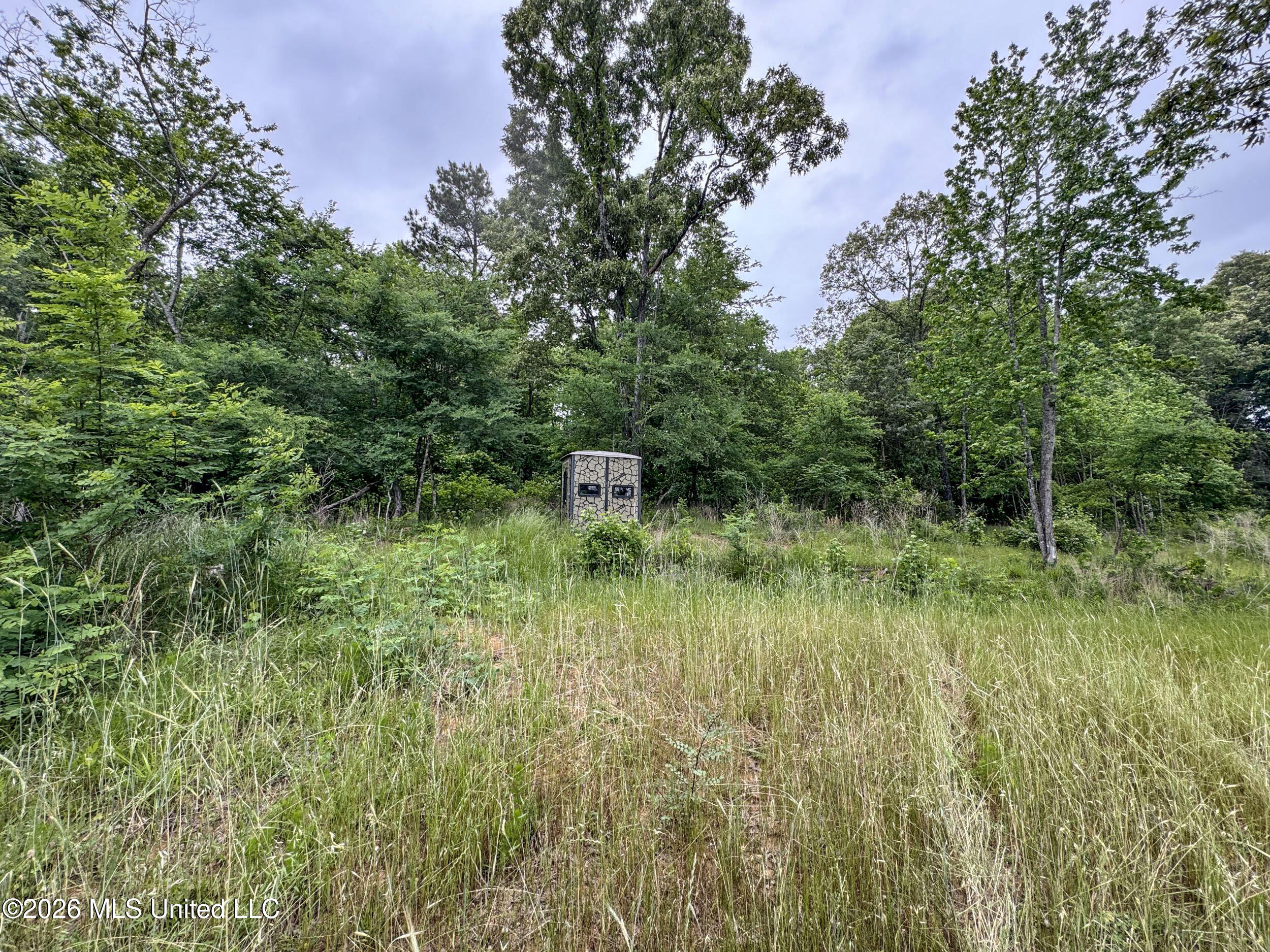 Wayne Massie Road Property Photo 181