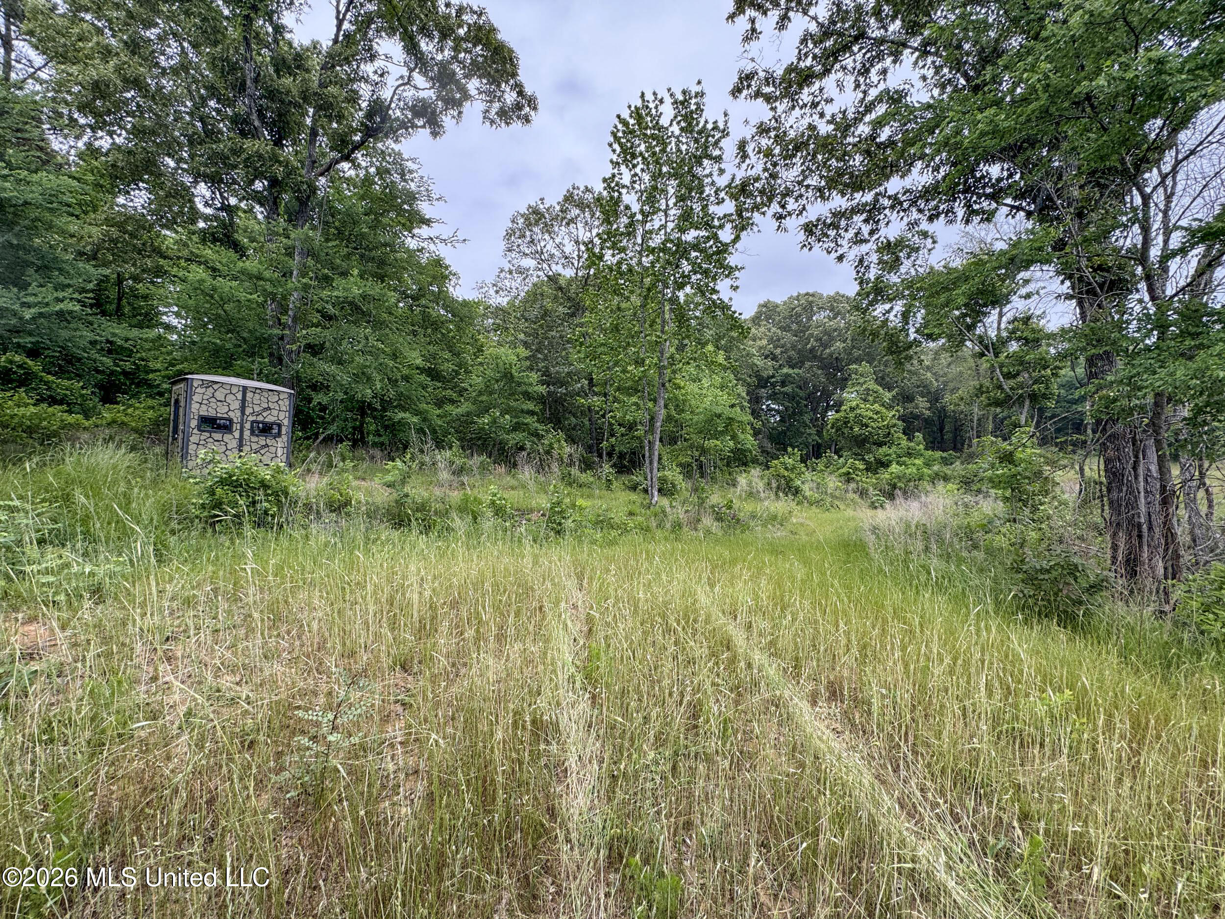 Wayne Massie Road Property Photo 182