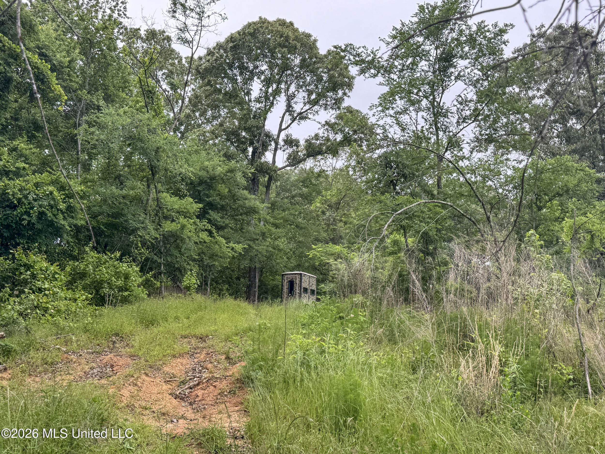 Wayne Massie Road Property Photo 183