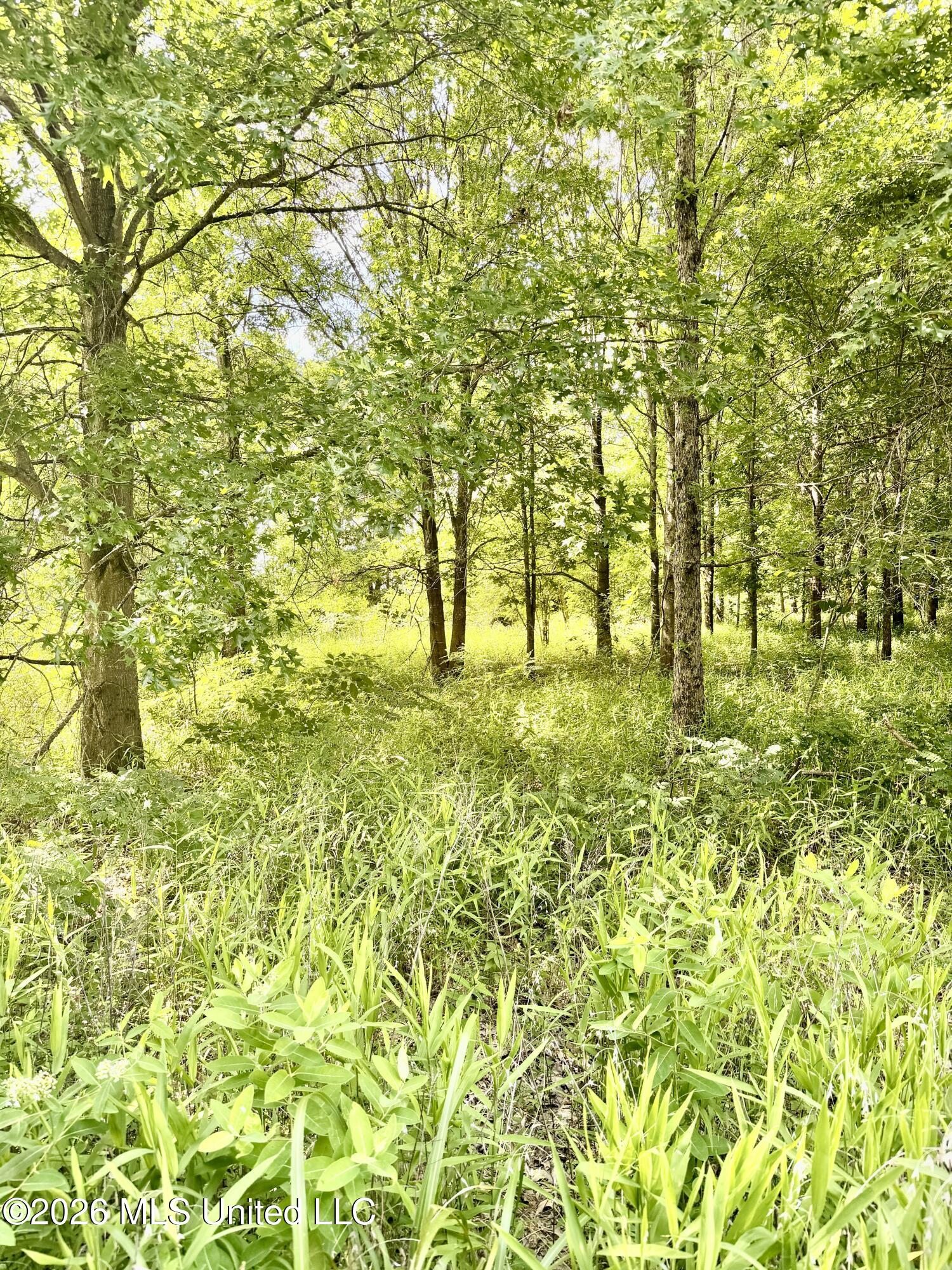 Ms-315 Property Photo 6
