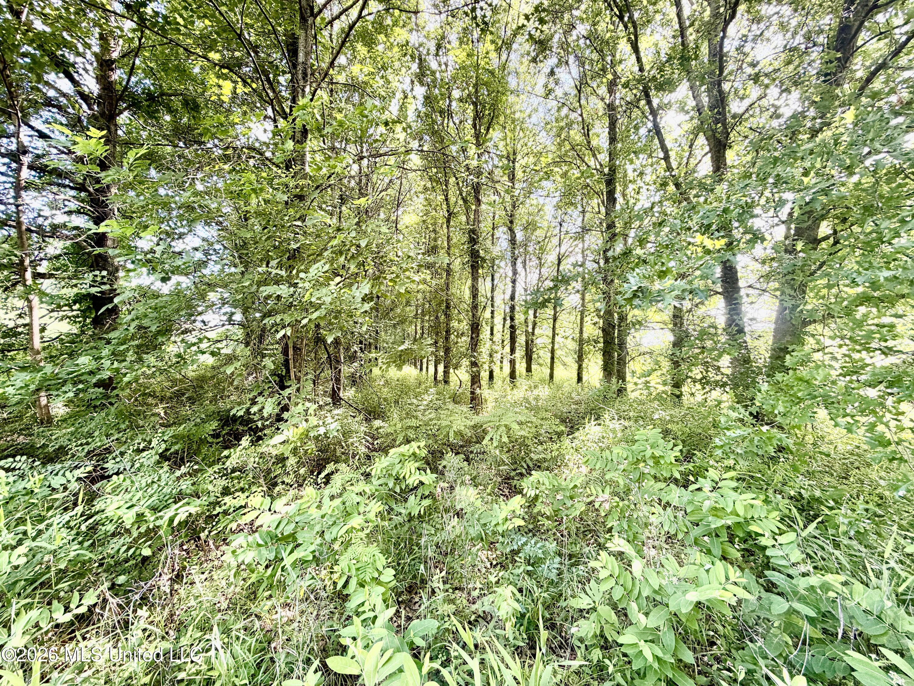 Ms-315 Property Photo 7