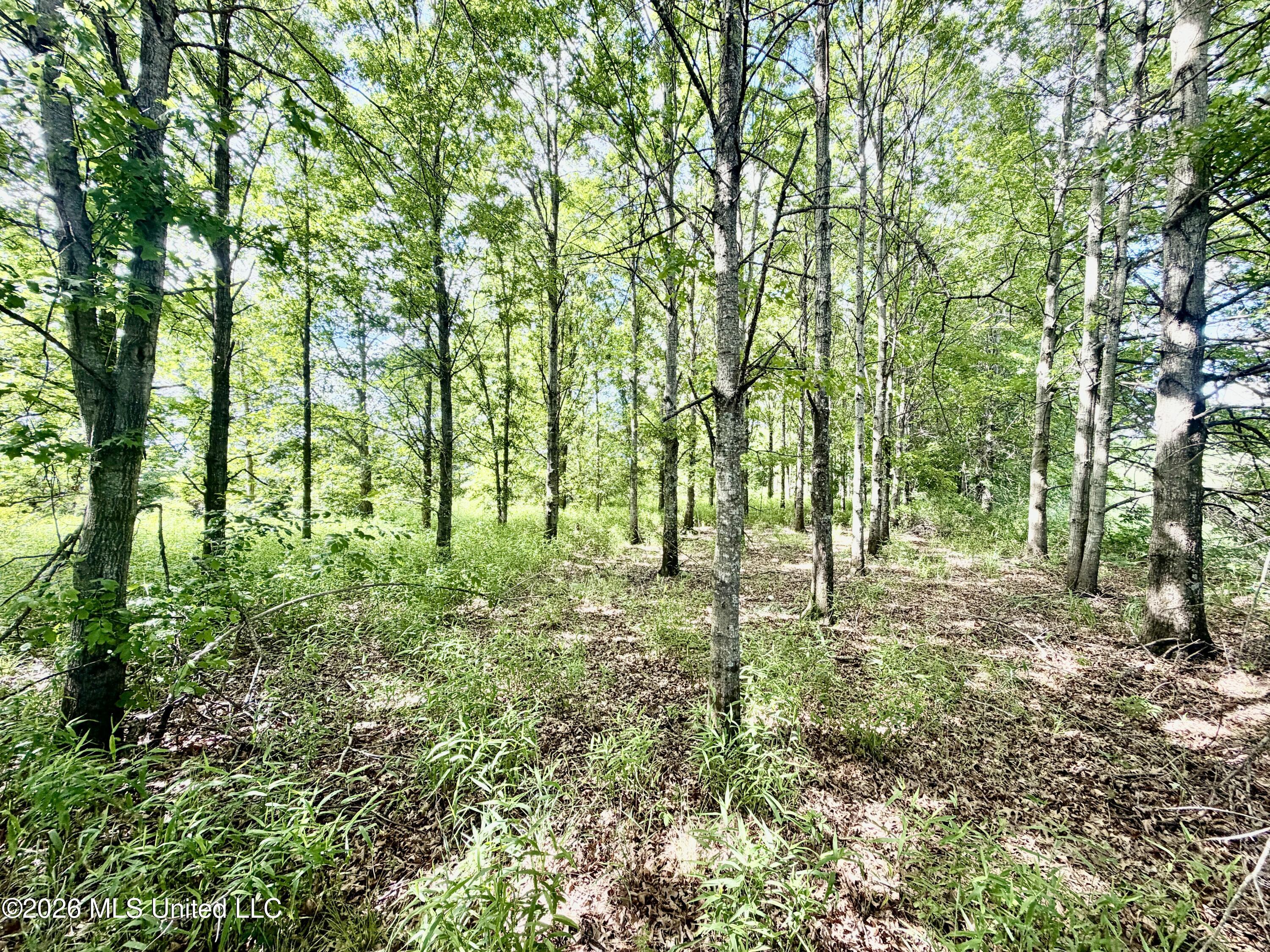 Ms-315 Property Photo 12