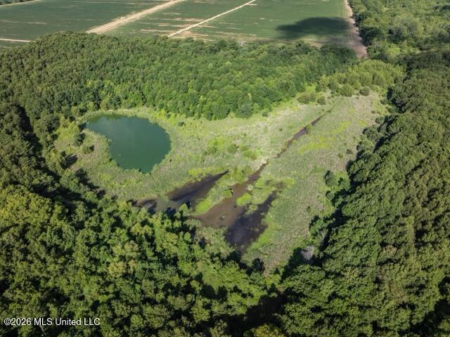 001 Hwy 448 Property Photo 12