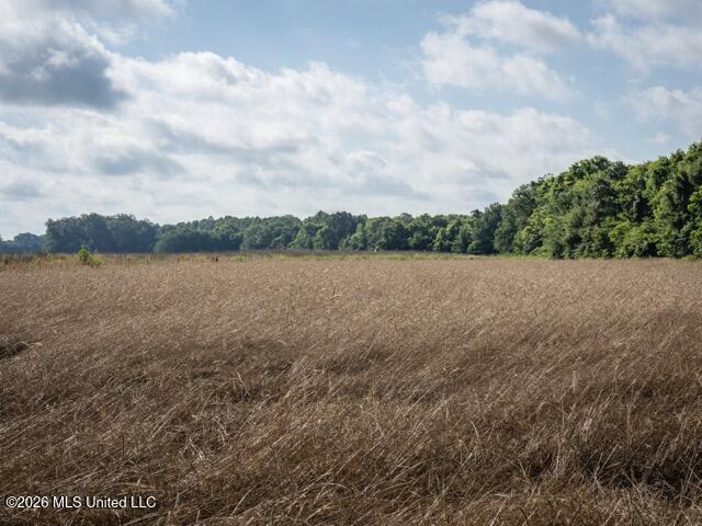 001 Hwy 448 Property Photo 14