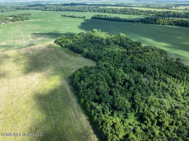 001 Hwy 448 Property Photo 15