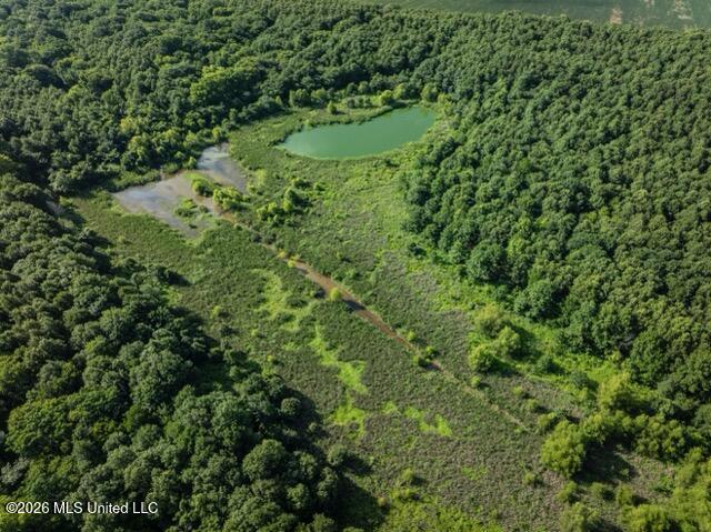 001 Hwy 448 Property Photo 26