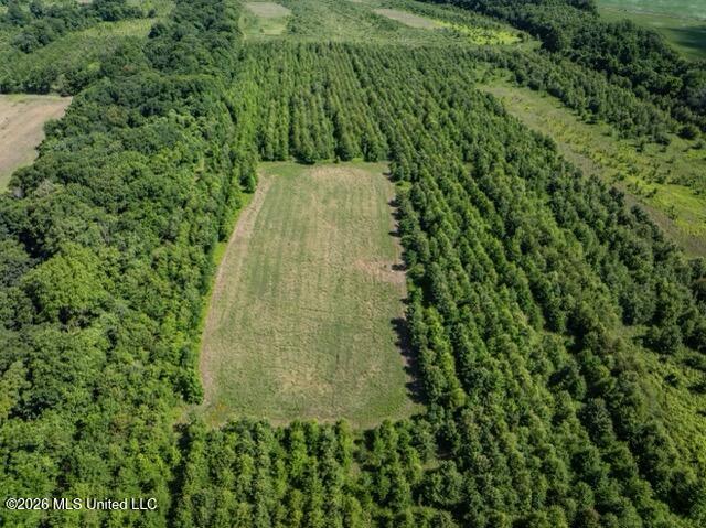 001 Hwy 448 Property Photo 27