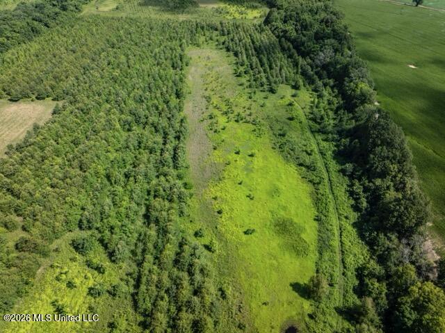 001 Hwy 448 Property Photo 29