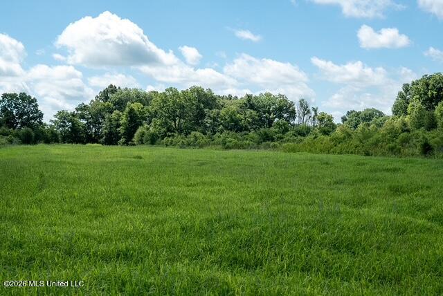 001 Hwy 448 Property Photo 38