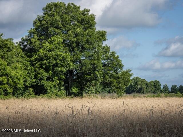 001 Hwy 448 Property Photo 39