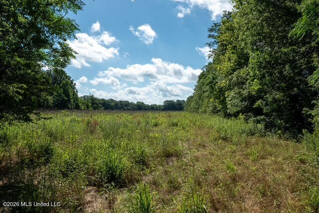 001 Hwy 448 Property Photo 44