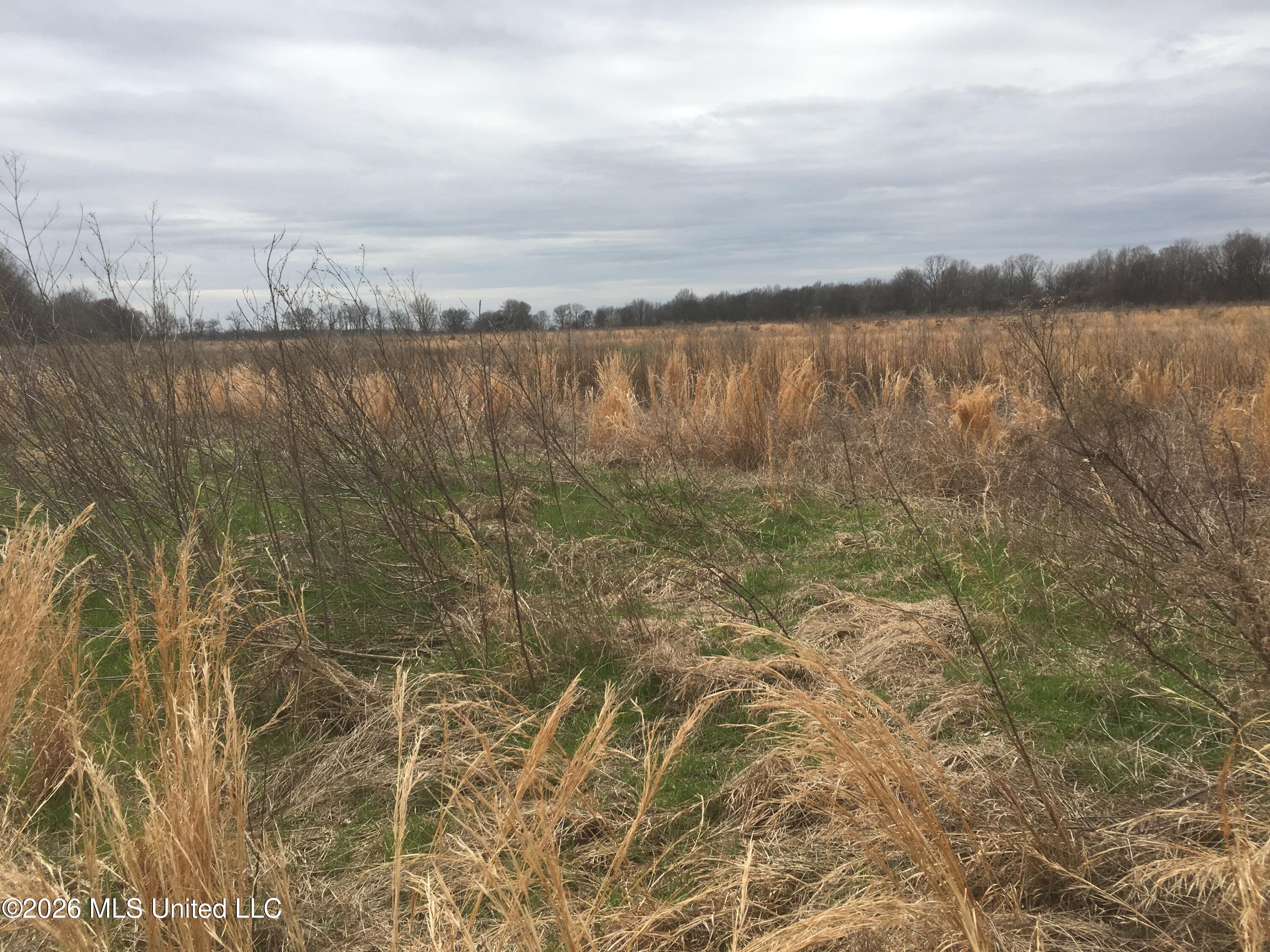 001 Hwy 448 Property Photo 51
