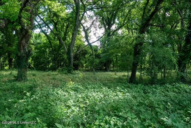 001 Hwy 448 Property Photo 57