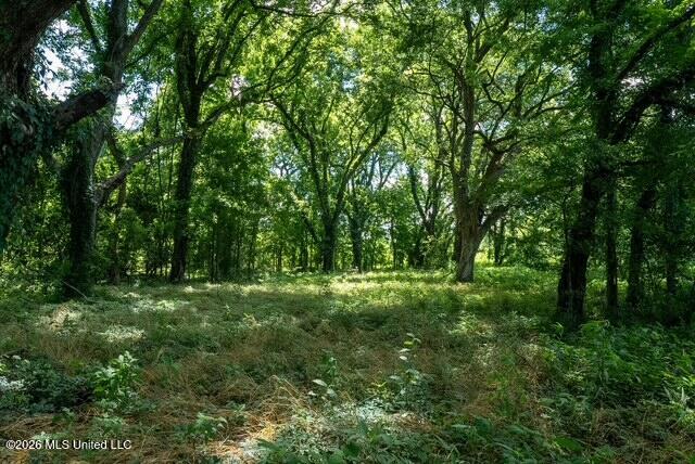 001 Hwy 448 Property Photo 58