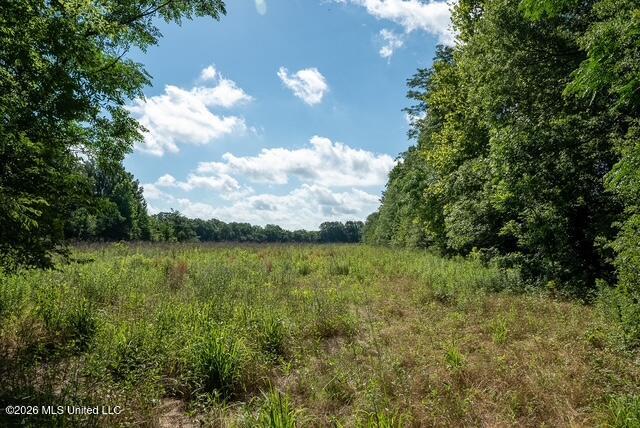 001 Hwy 448 Property Photo 60