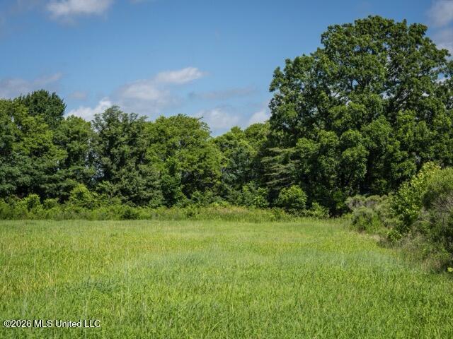 001 Hwy 448 Property Photo 61