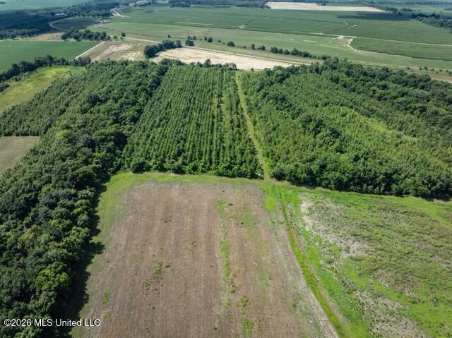 001 Hwy 448 Property Photo 63