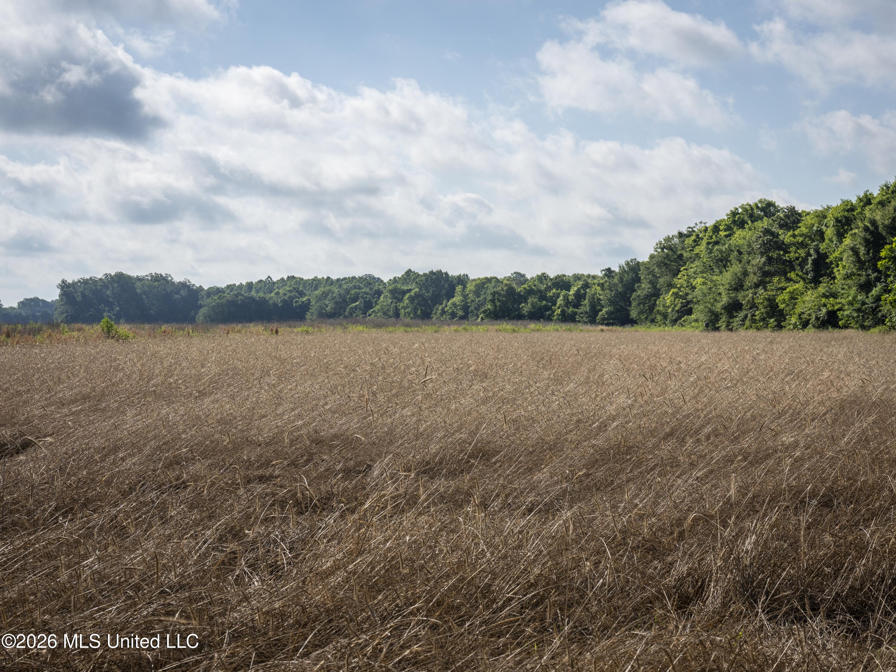 001 Hwy 448 Property Photo 64