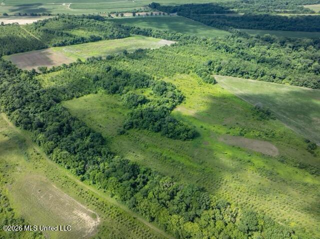 001 Hwy 448 Property Photo 65