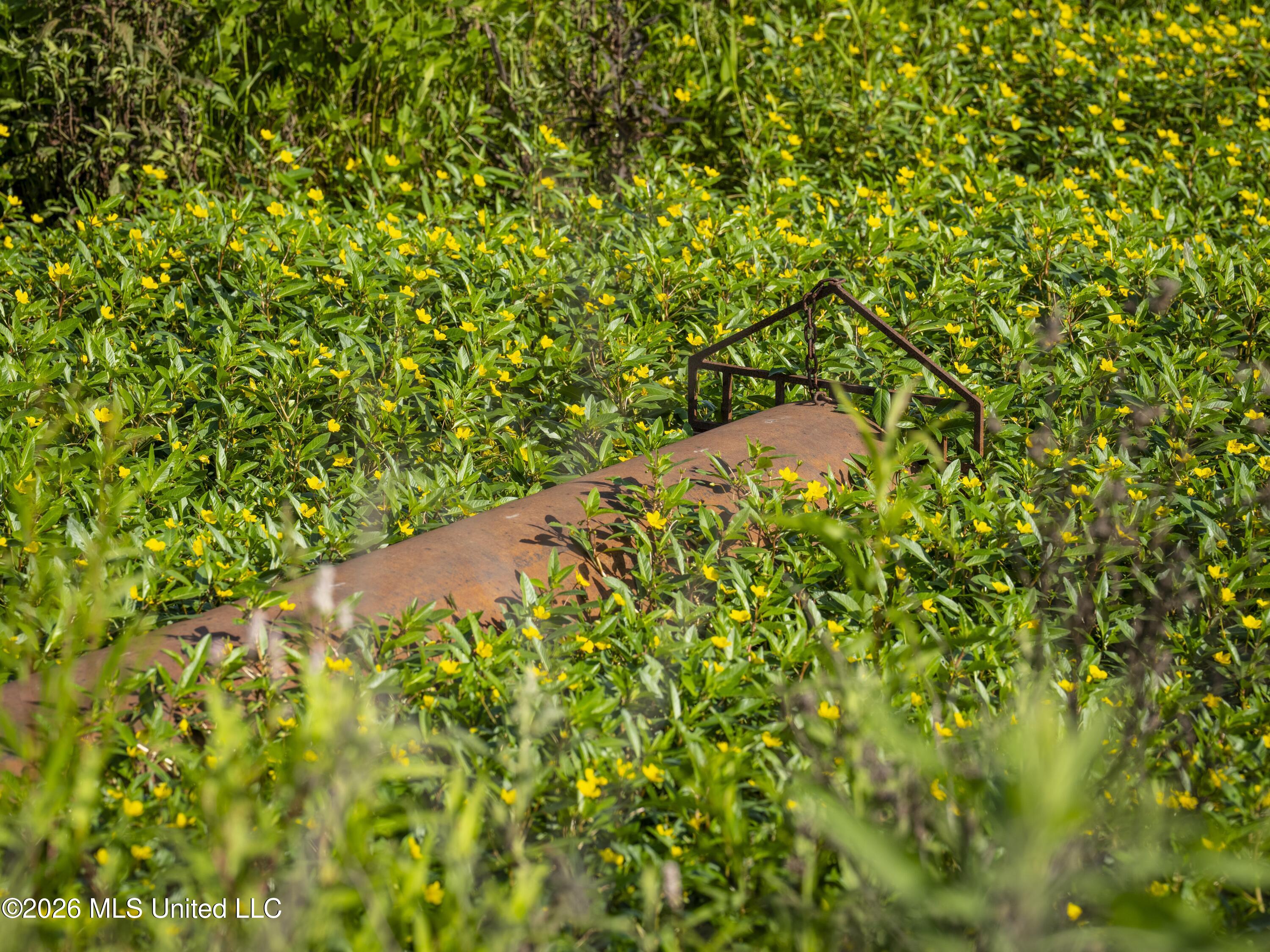 001 Hwy 448 Property Photo 67