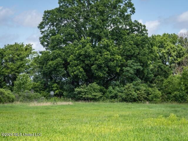001 Hwy 448 Property Photo 69
