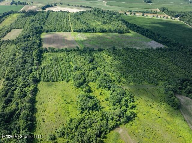 001 Hwy 448 Property Photo 72