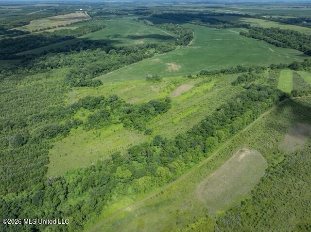 001 Hwy 448 Property Photo 74