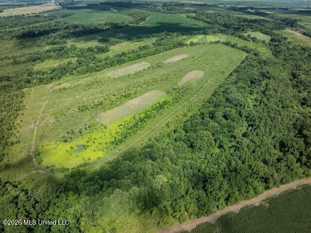 001 Hwy 448 Property Photo 77