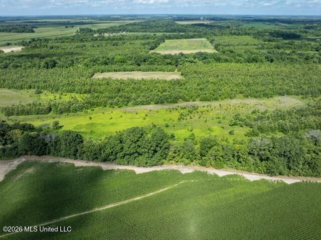 001 Hwy 448 Property Photo 79