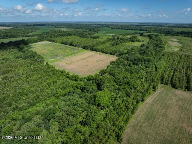 001 Hwy 448 Property Photo 84