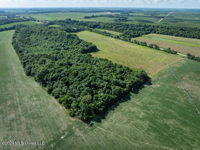 001 Hwy 448 Property Photo 90