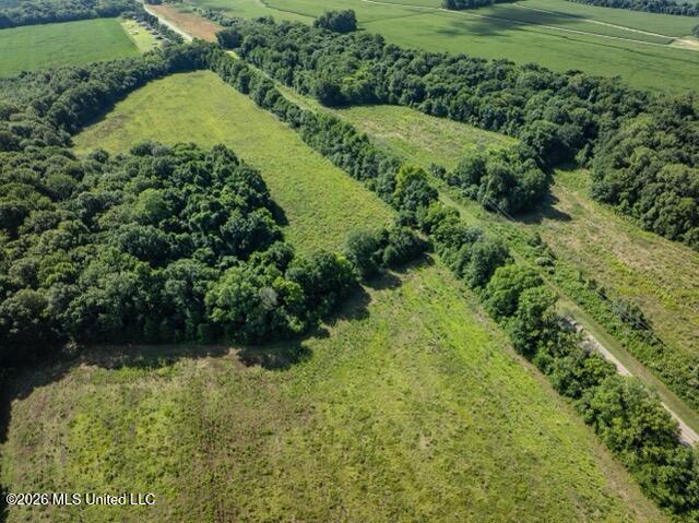 001 Hwy 448 Property Photo 91