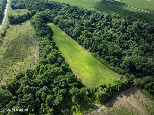001 Hwy 448 Property Photo 96