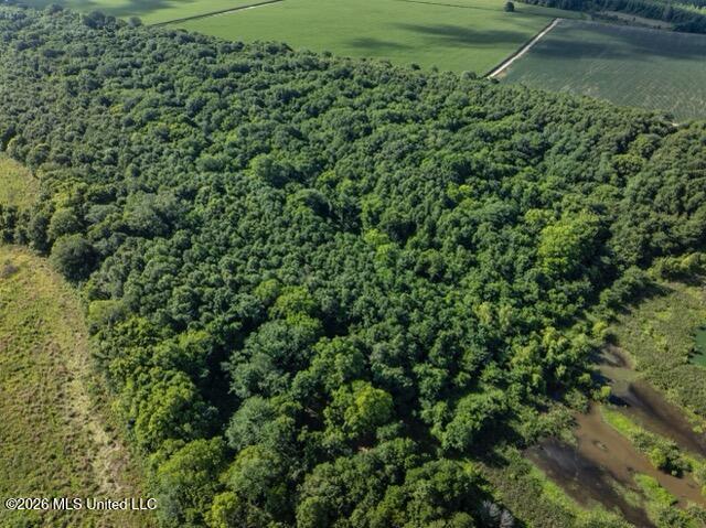 001 Hwy 448 Property Photo 107