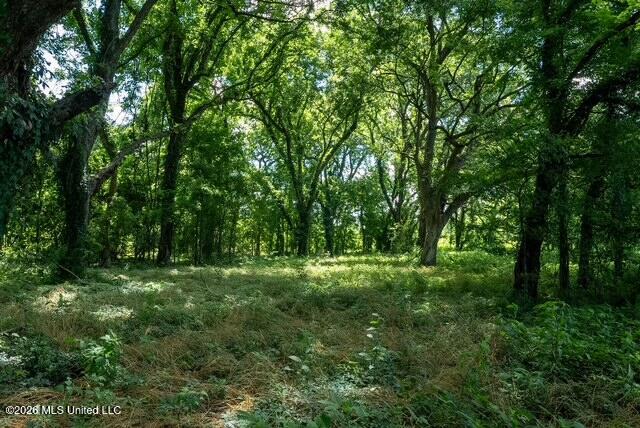 001 Hwy 448 Property Photo 119