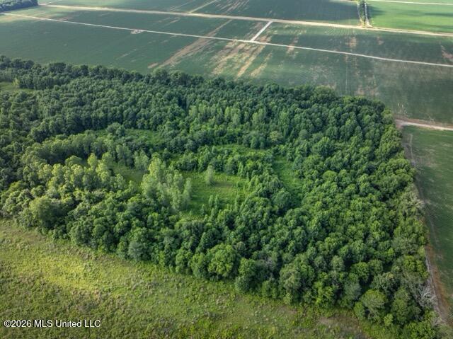 001 Hwy 448 Property Photo 123