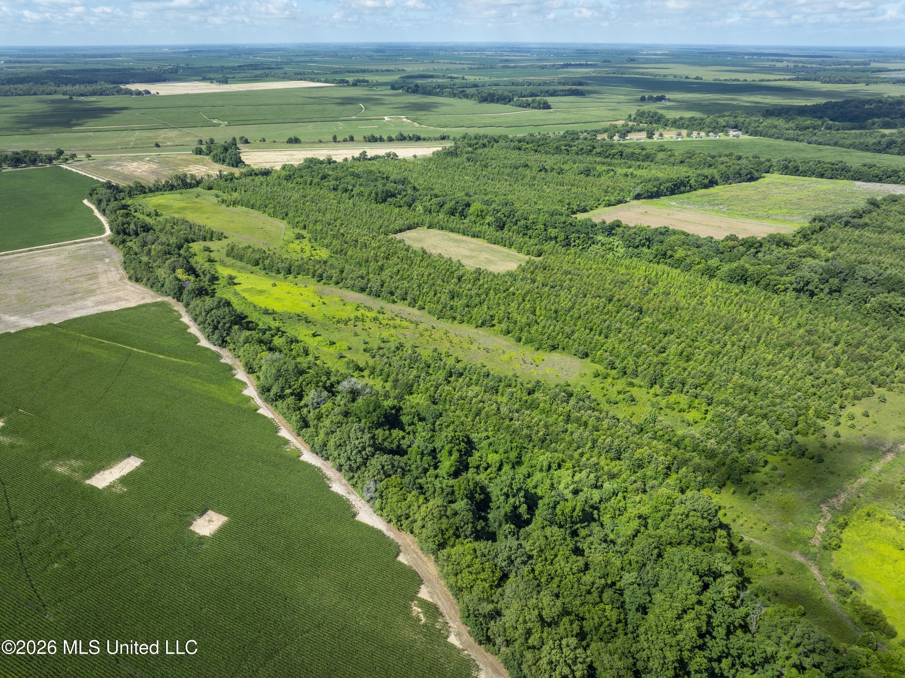 001 Hwy 448 Property Photo 132