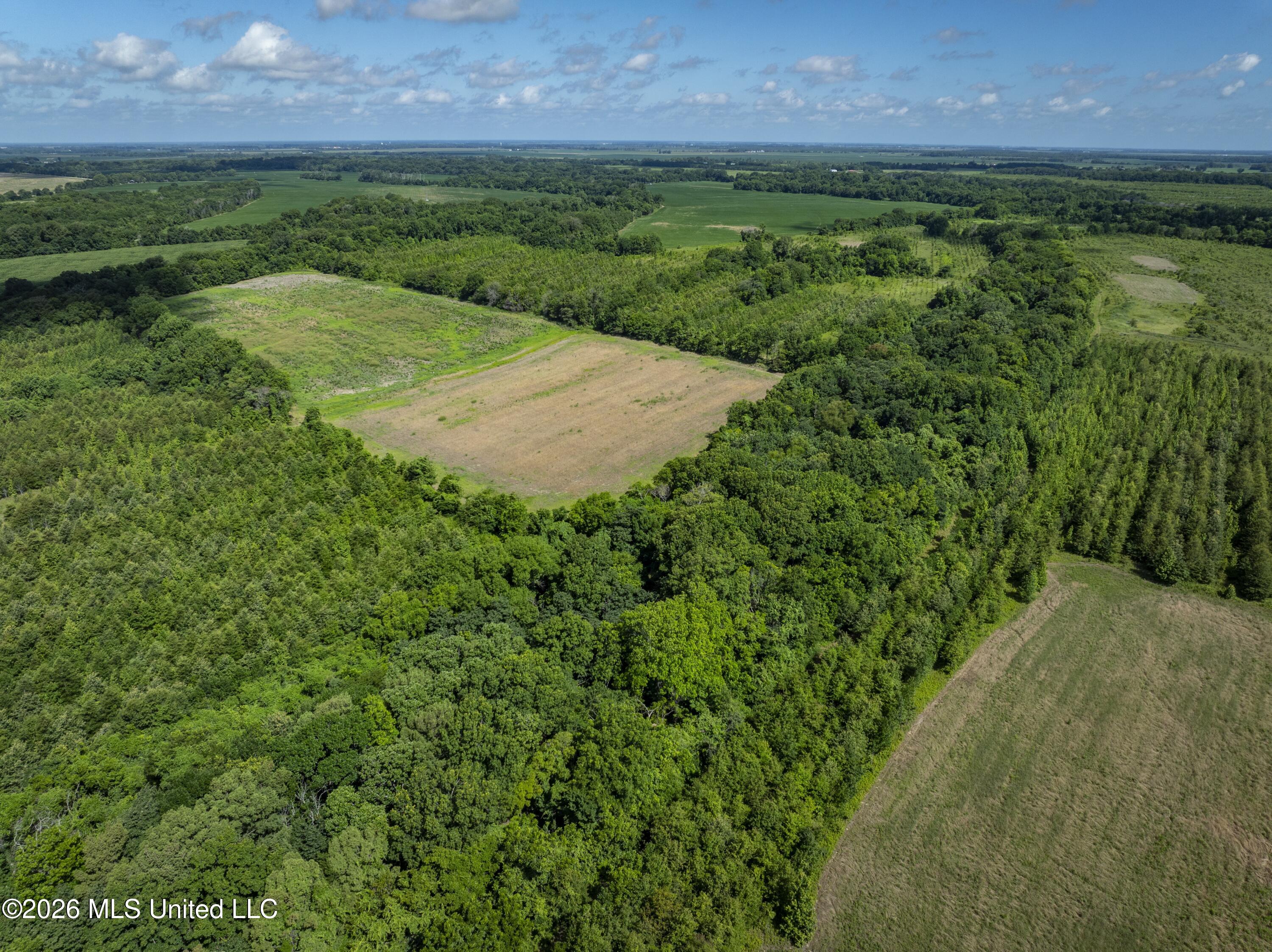 001 Hwy 448 Property Photo 139