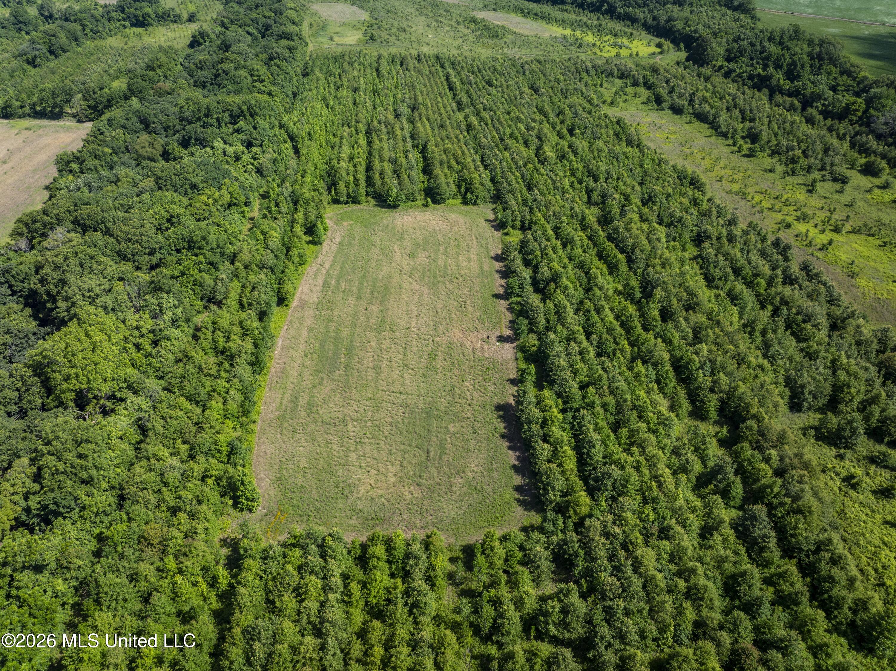 001 Hwy 448 Property Photo 140
