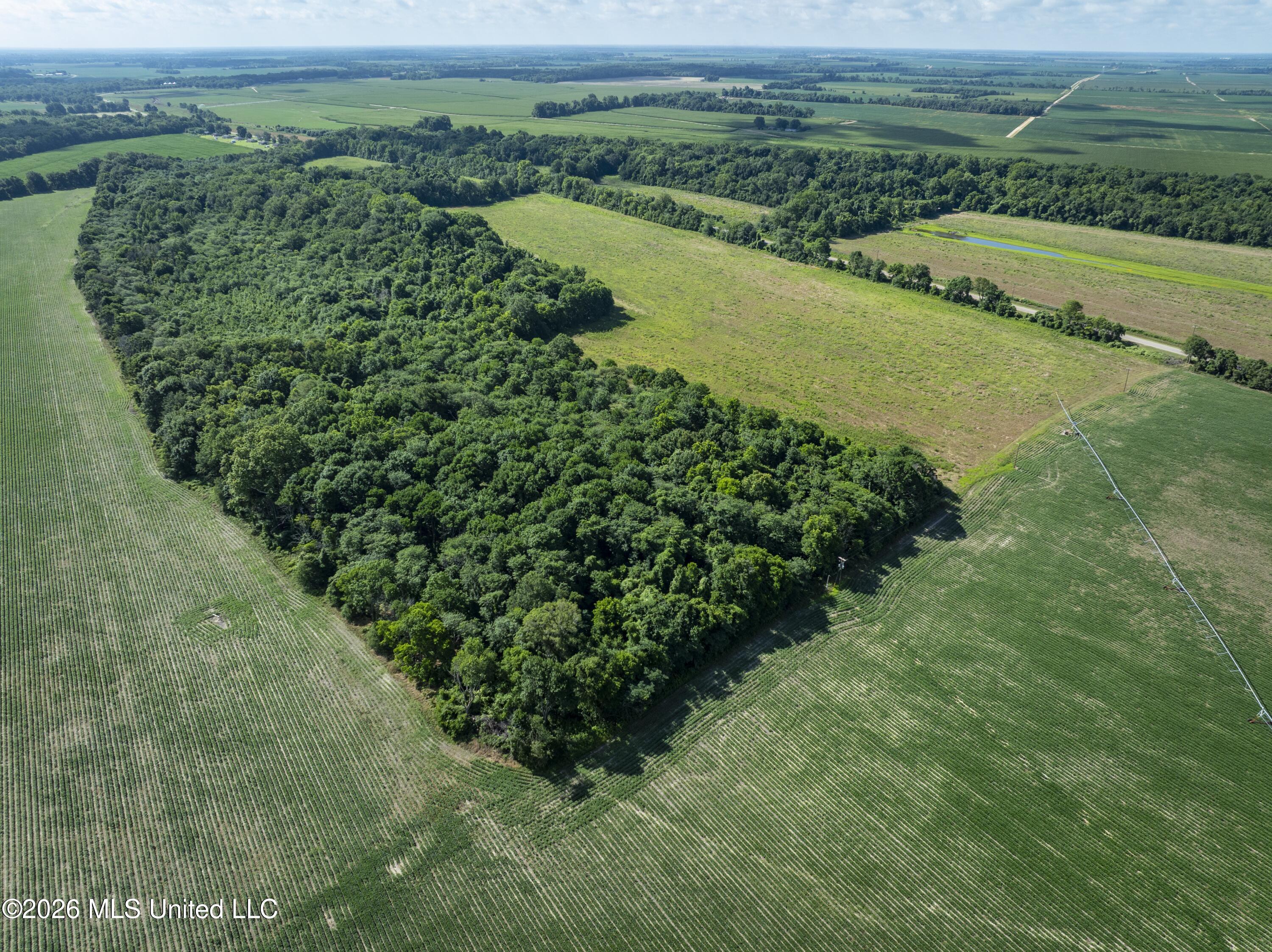 001 Hwy 448 Property Photo 146