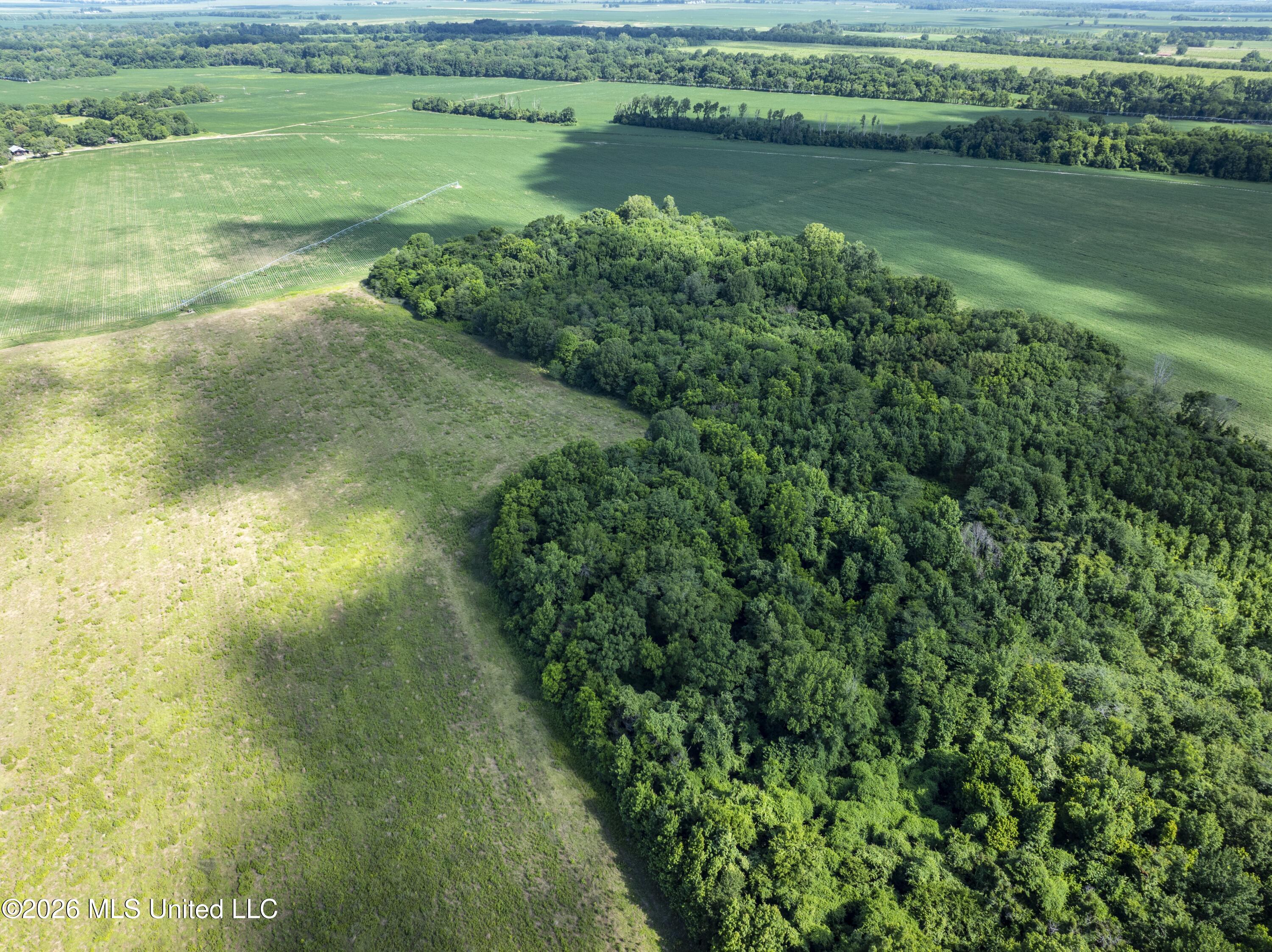 001 Hwy 448 Property Photo 147