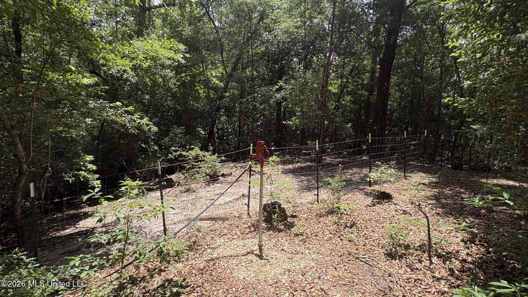 1935 Gator Lane Property Photo 15