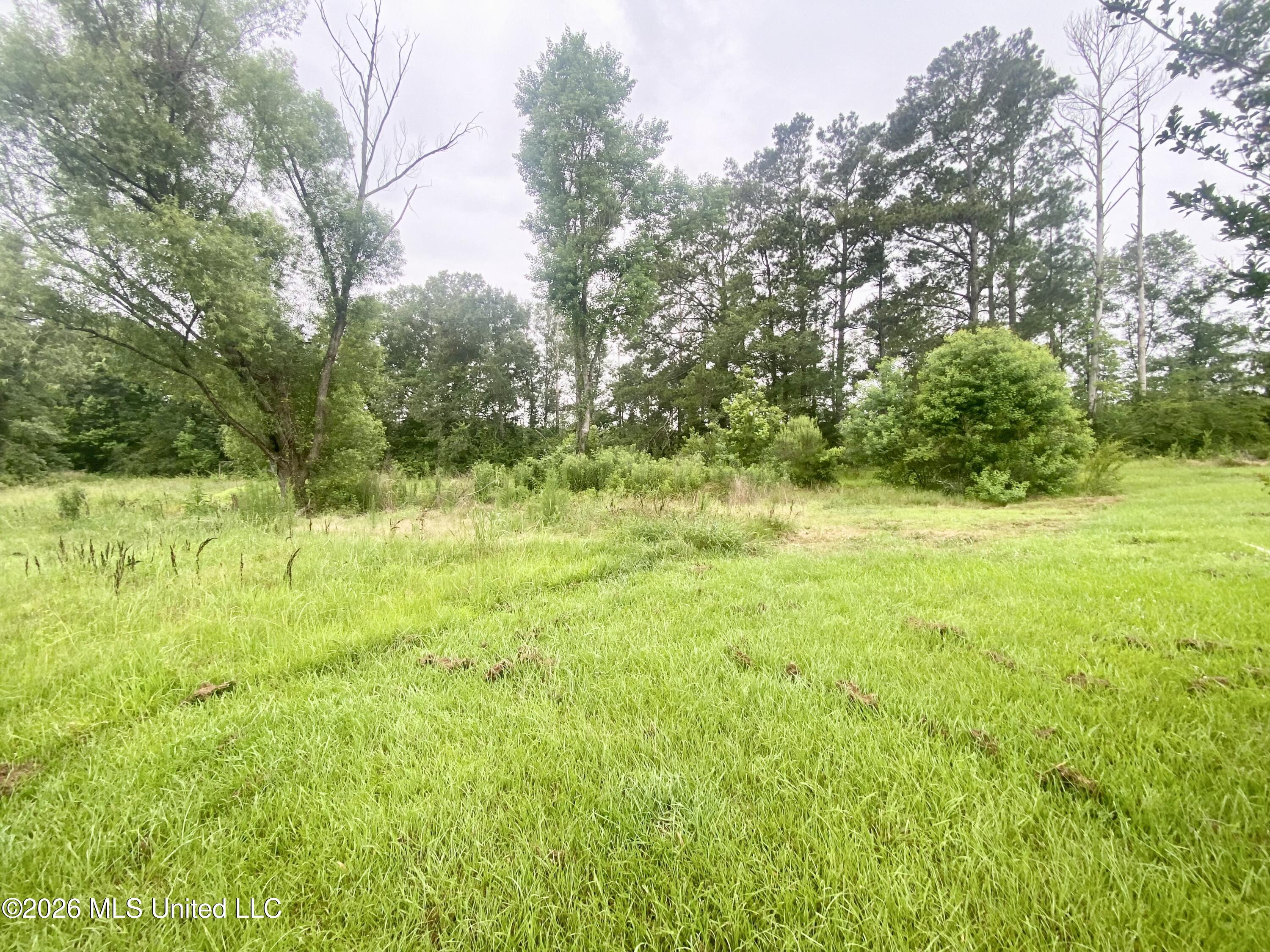 1021 Metcalfe Lane Property Photo 31