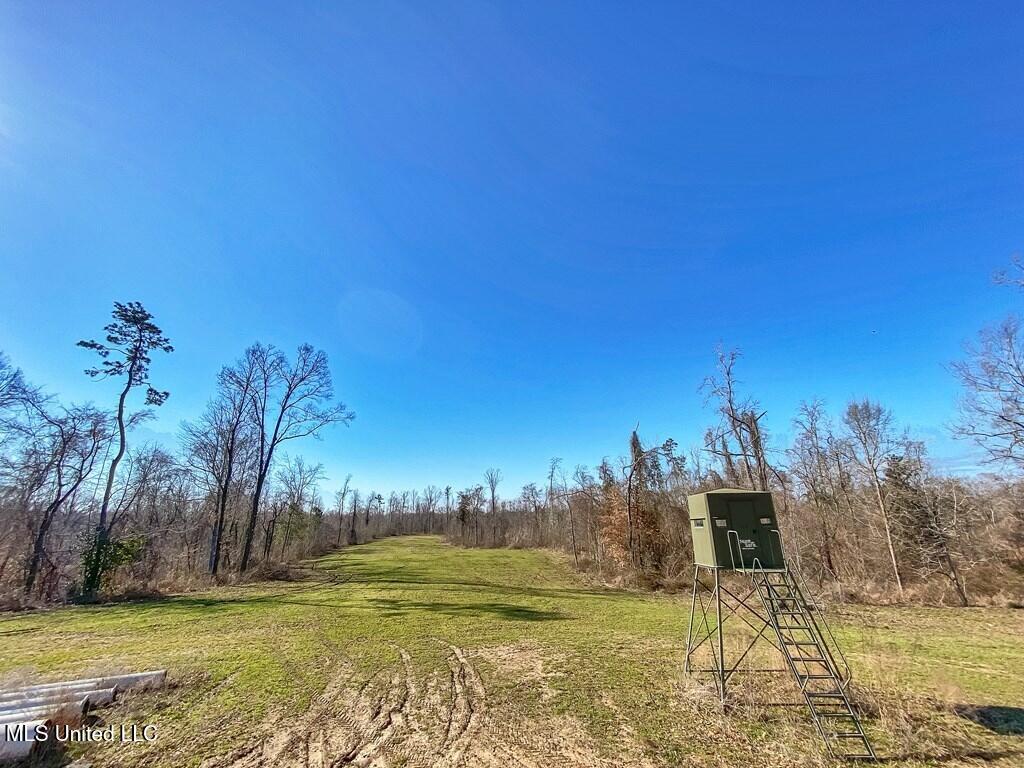 1 Noble Swamp Road Property Photo 6