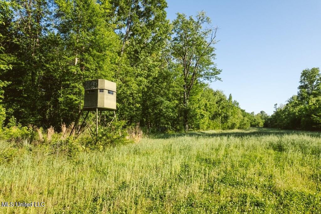1 Noble Swamp Road Property Photo 7