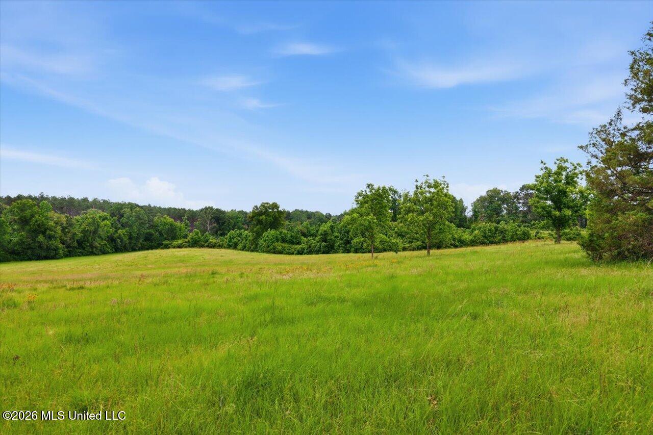 1001 Eagle Landing Property Photo 7