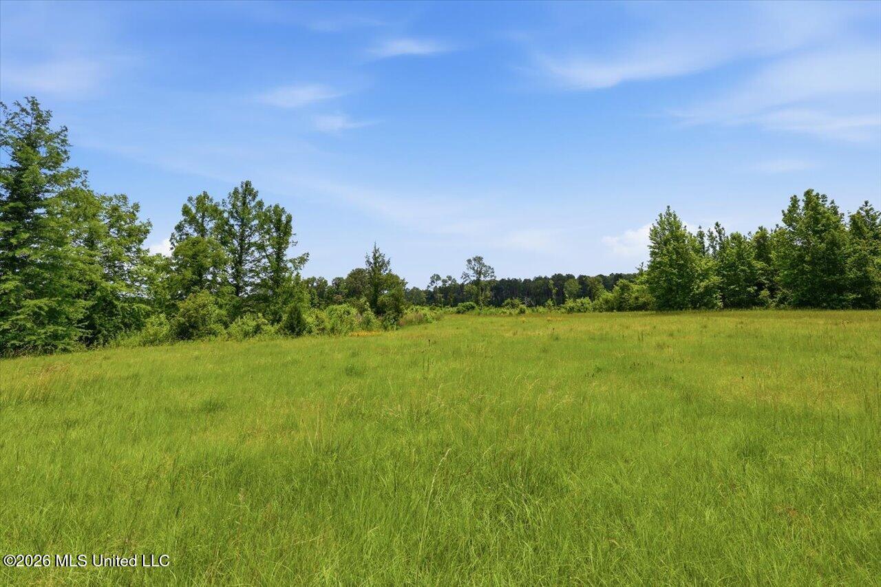 1001 Eagle Landing Property Photo 76