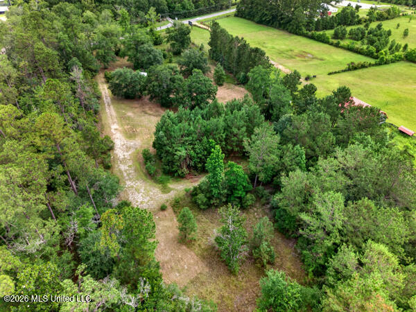 126a Ceasar Road Property Photo 3