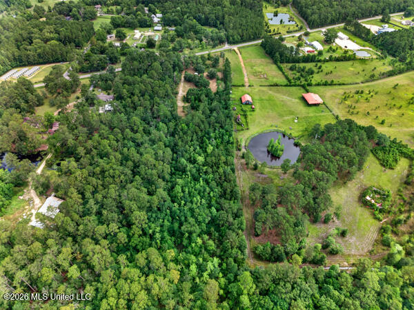 126a Ceasar Road Property Photo 16
