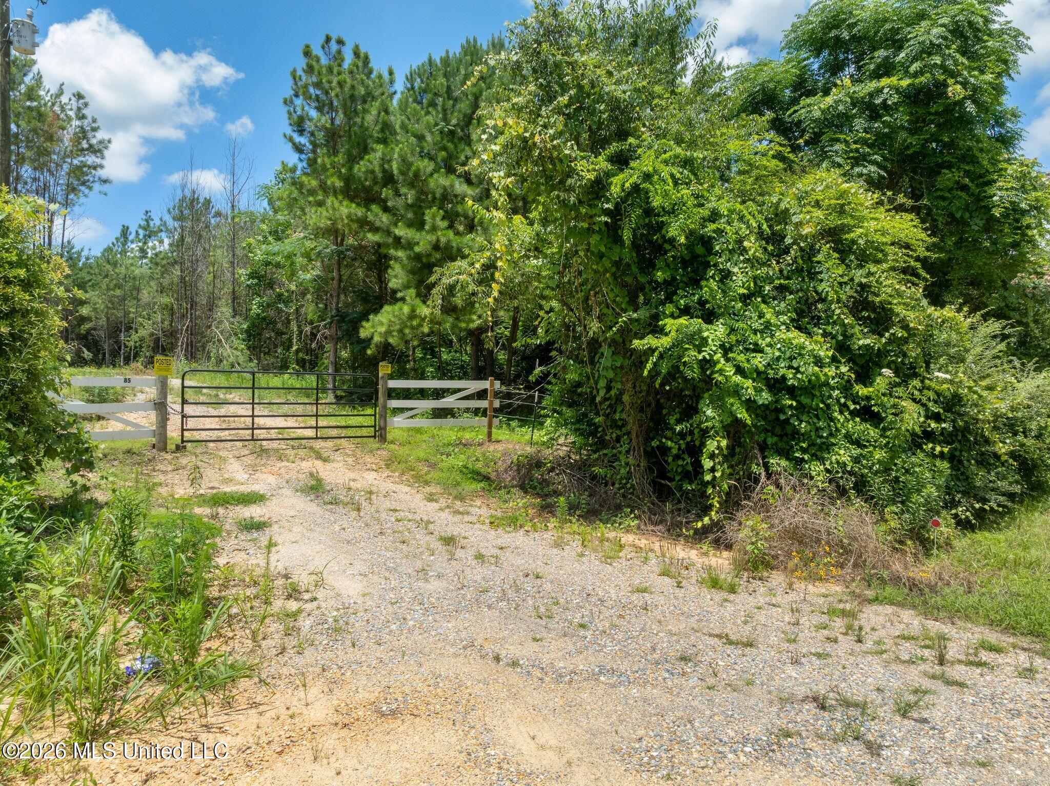 31 Acres Ridgeland Road Property Photo 1